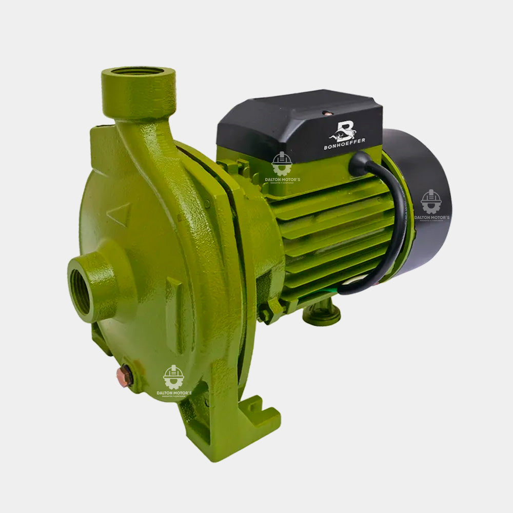Electrobomba Bonhoeffer 2HP 2x2