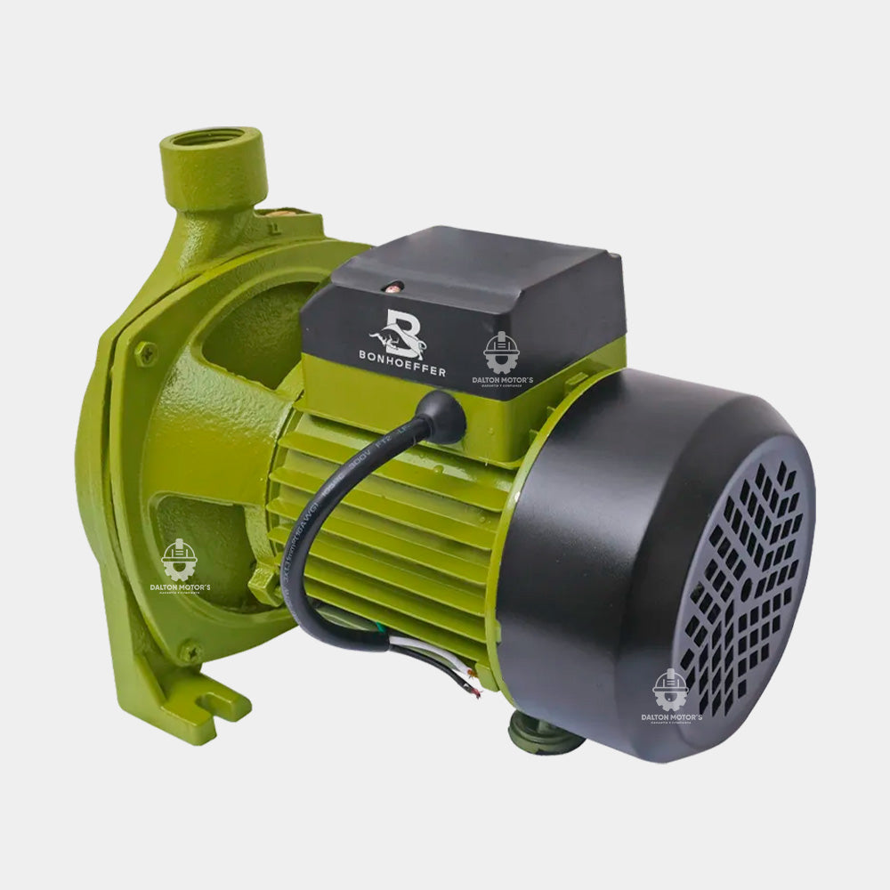 Electrobomba Bonhoeffer 2HP 2x2
