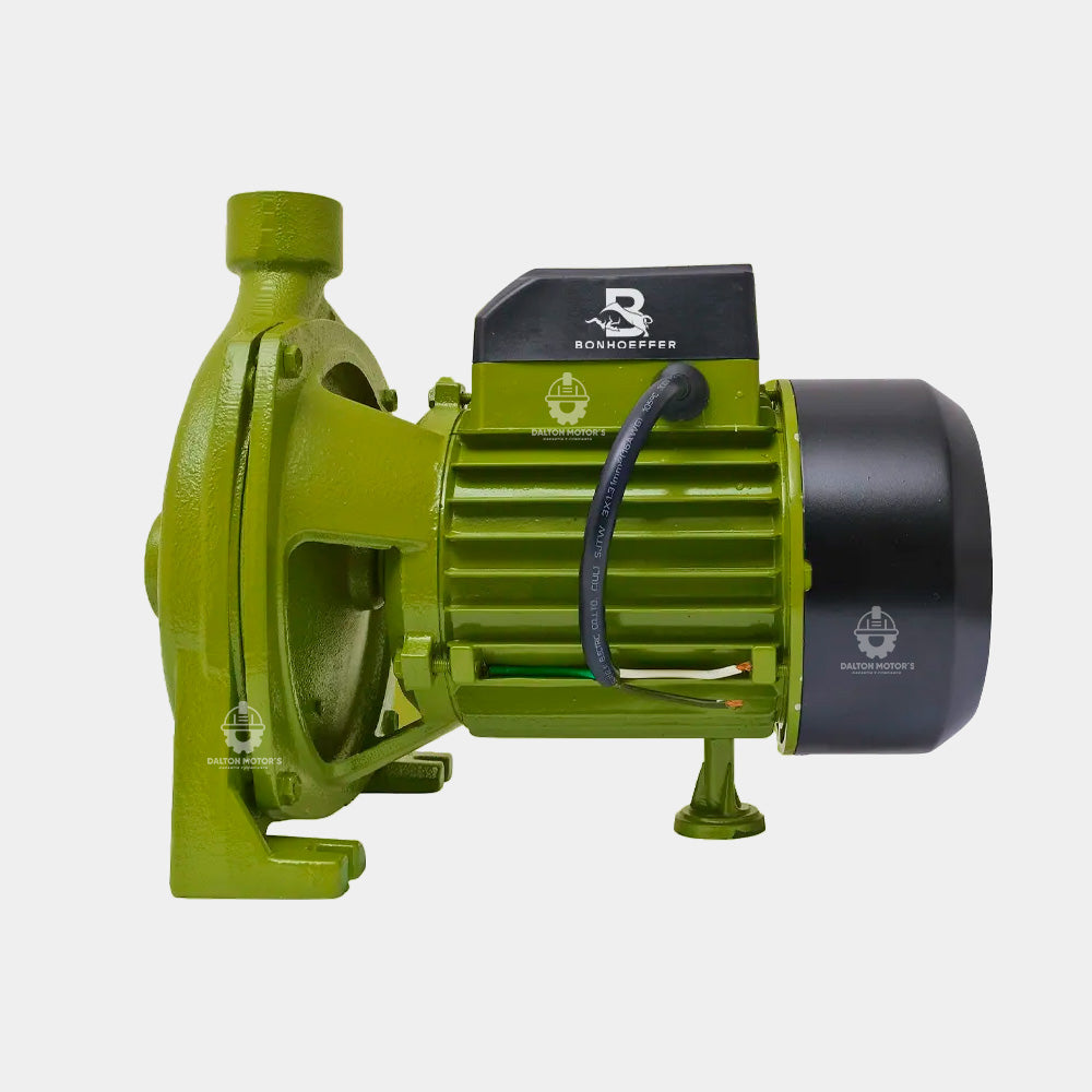 Electrobomba Bonhoeffer 2HP 2x2