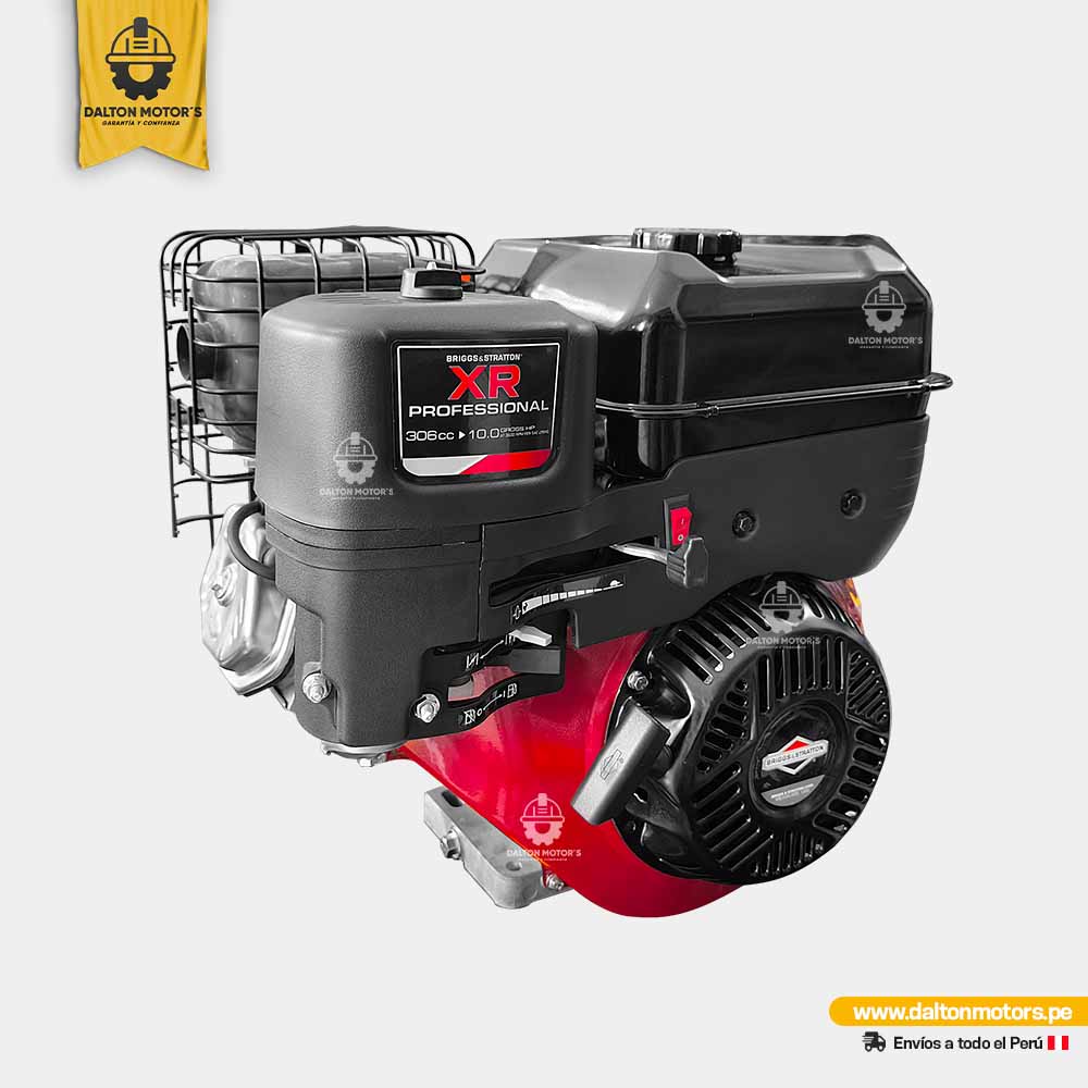 Motor Gasolinero Briggs Stratton 10HP