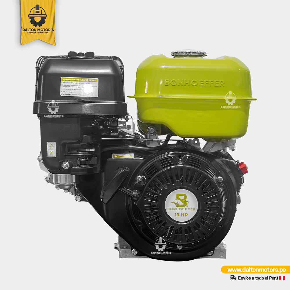 Motor Bonhoeffer 13HP