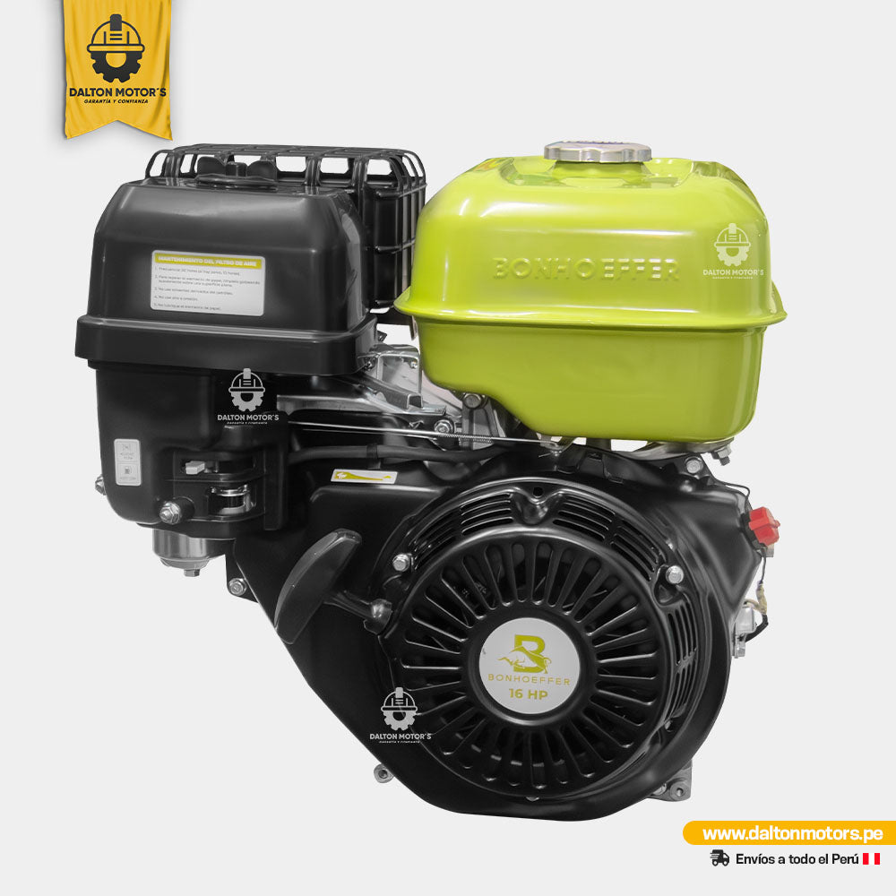 Motor Bonhoeffer 16HP