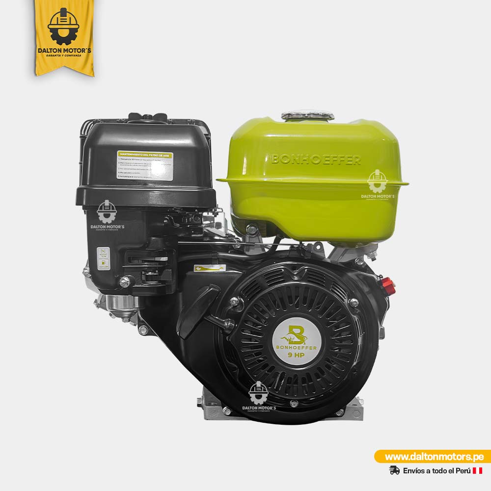 Motor Bonhoeffer 9HP