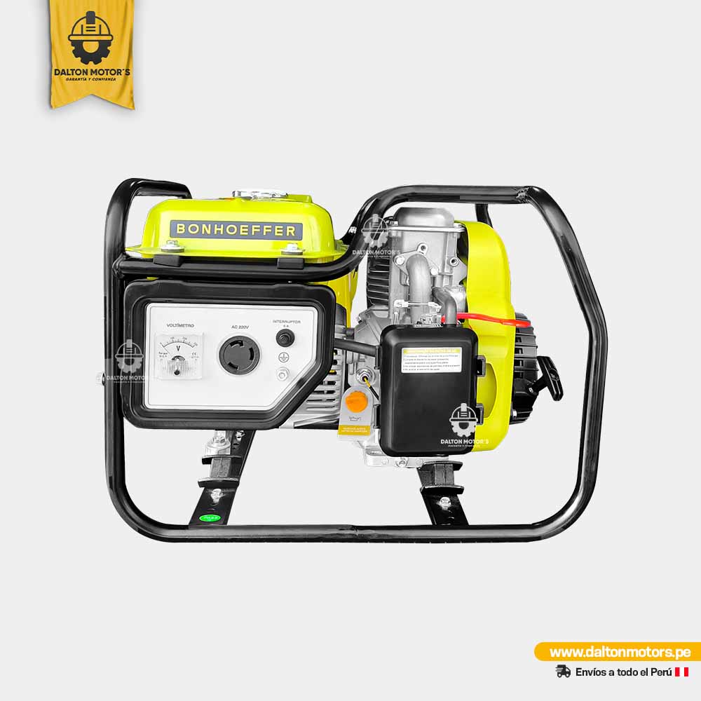 Generador Eléctrico 1KW Bonhoeffer
