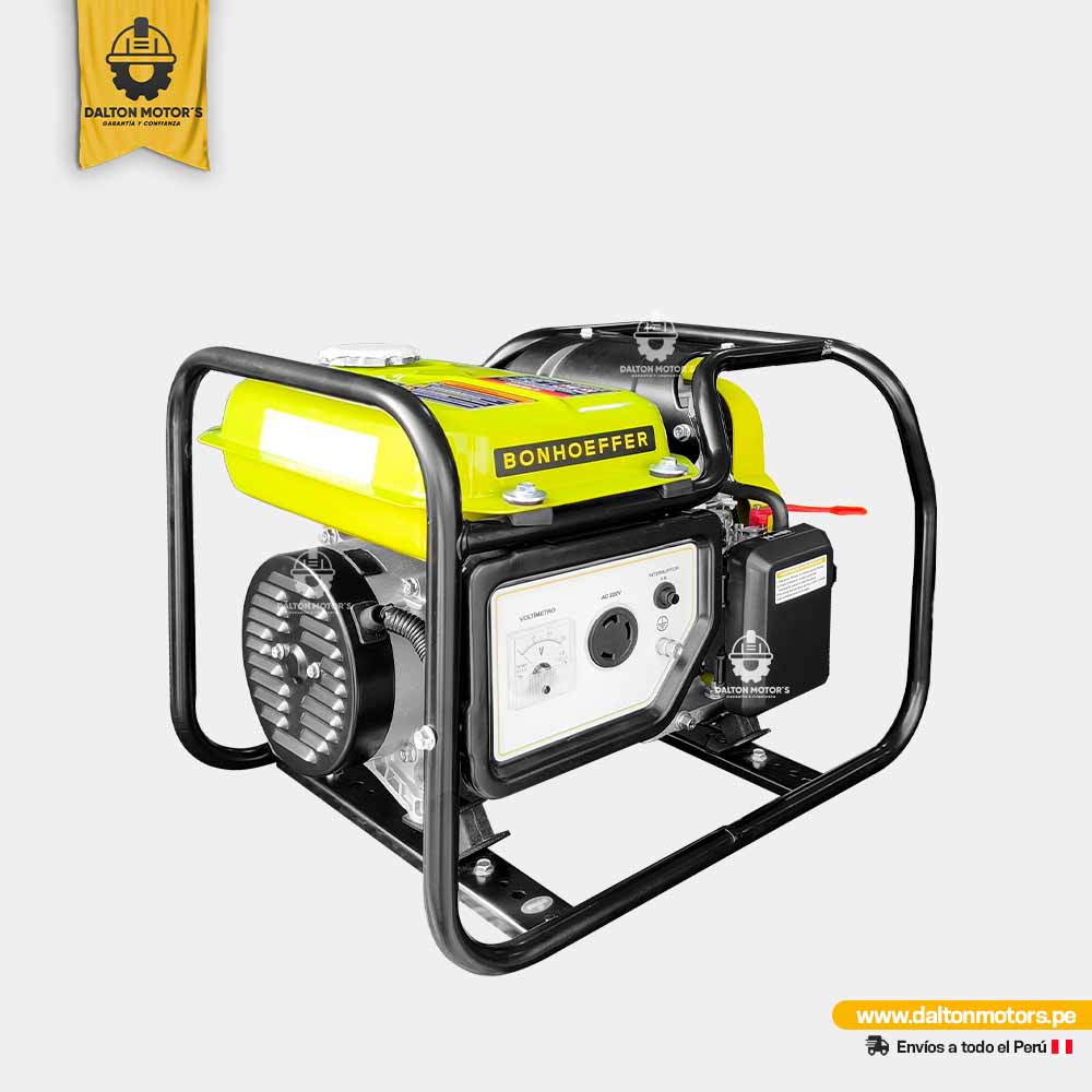 Generador Eléctrico 1KW Bonhoeffer