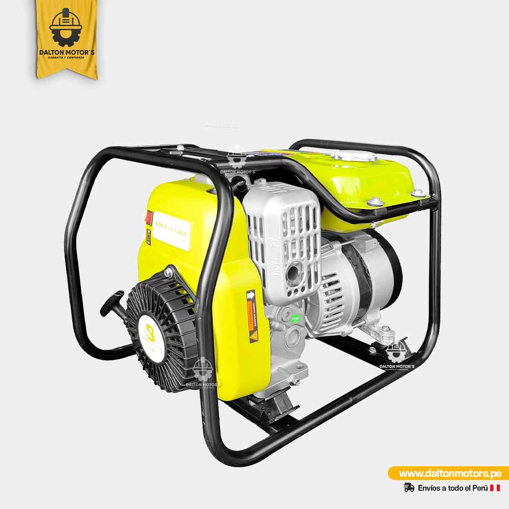 Generador Eléctrico 1KW Bonhoeffer