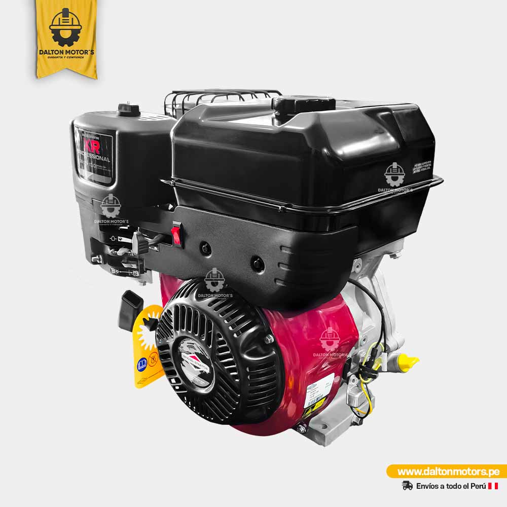 Motor Gasolinero Briggs Stratton 10HP
