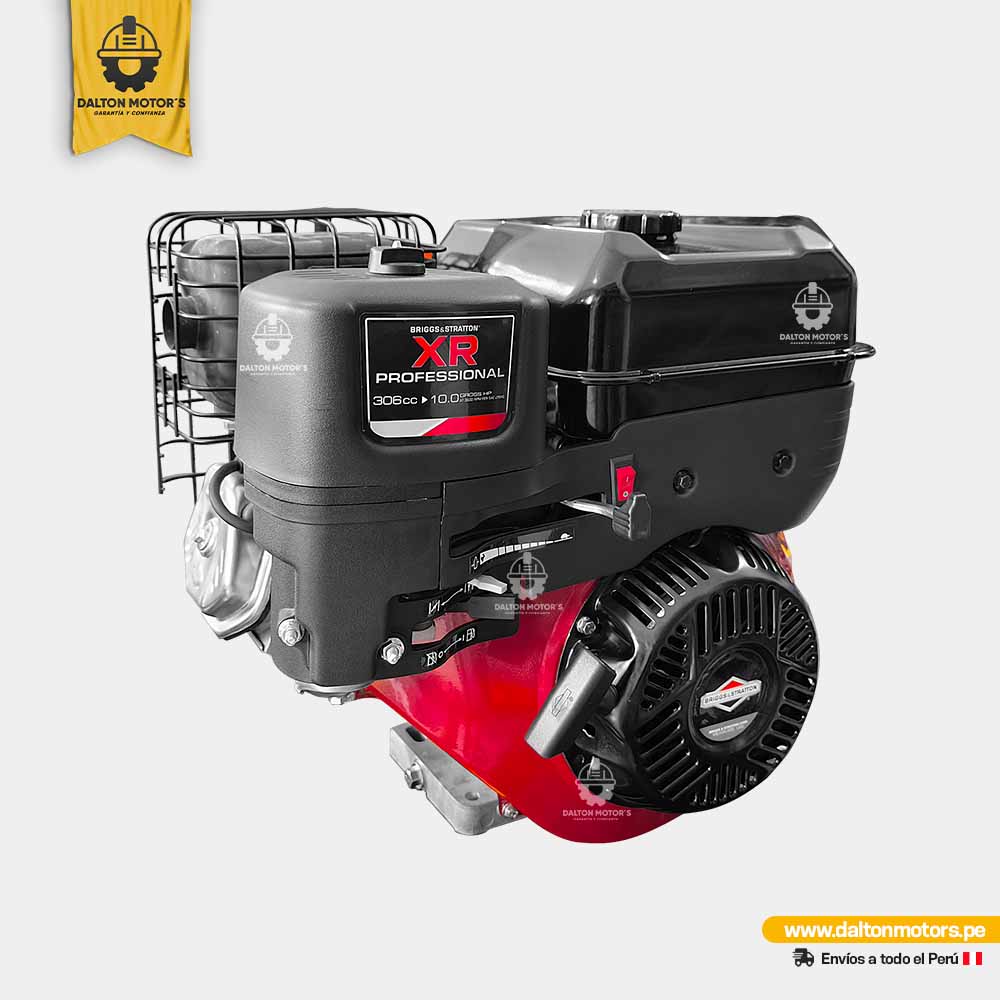 Motor Gasolinero Briggs Stratton 10HP