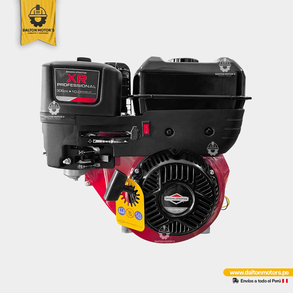 Motor Gasolinero Briggs Stratton 10HP