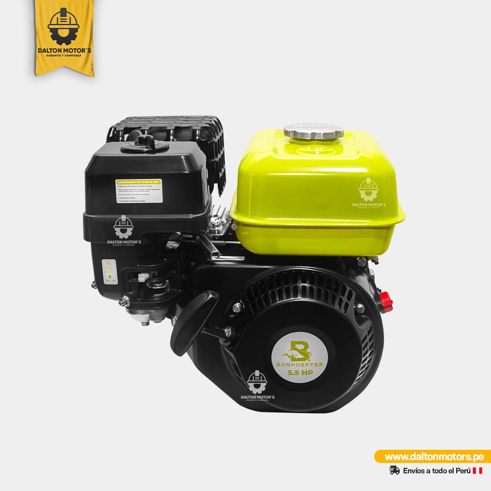 Motor Bonhoeffer 5.5HP