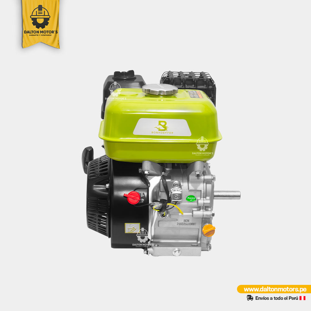 Motor Bonhoeffer 5.5HP