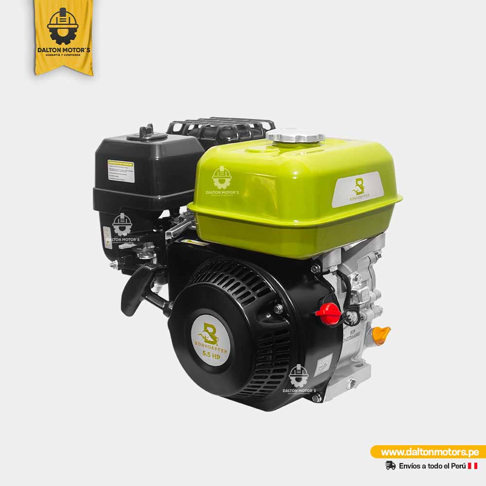 Motor Bonhoeffer 5.5HP