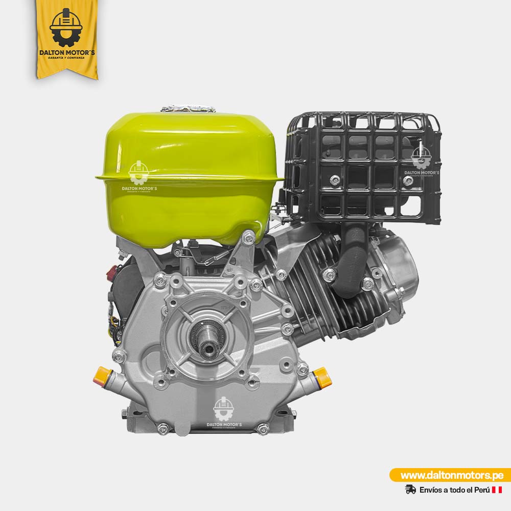 Motor Bonhoeffer 16HP