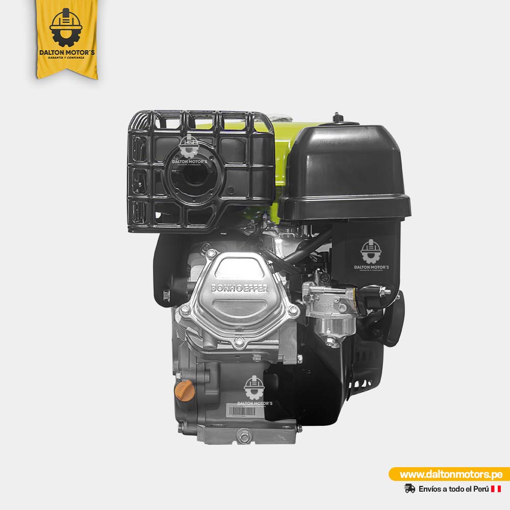 Motor Bonhoeffer 16HP